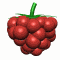 478 raspberry