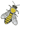 animaux abeille honey21 gif