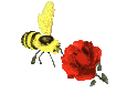 animaux abeille honey31 gif