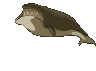 http://www.icone-gif.com/gif/animaux/baleines-orques/baleines008.gif