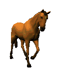 animaux chevaux cheval 16 gif