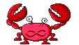 animaux crabes crabes 15 gif