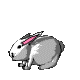 http://www.icone-gif.com/gif/animaux/lapins/lapin008.gif