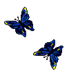papillon gif 006