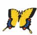 papillon gif 008