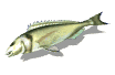 http://www.icone-gif.com/gif/animaux/poissons/poissons-gif-064.gif