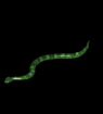 http://www.icone-gif.com/gif/animaux/serpents/serpant017.gif
