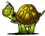 http://www.icone-gif.com/gif/animaux/tortues/tortue024.gif