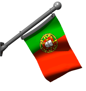 http://www.icone-gif.com/gif/drapeaux/portugal/3Portugal-superbandera-portugal_hw.gif