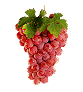 http://www.icone-gif.com/gif/fruits/raisins/raisins003.gif