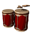 musique tambour bongopairBgWHT gif