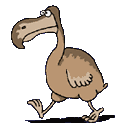oiseaux dodo dodot gif