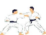 sports judo sport judo17 gif