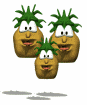 cartoon family of pineapple bounce md wht