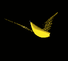 Banana 01