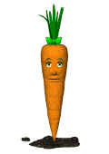 female carrot blinking md wht