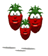 cartoon family of strawberries bounce md wht