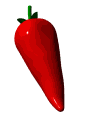 chili pepper spin md wht