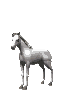 cheval002