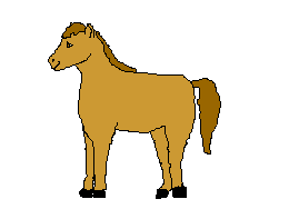 cheval010