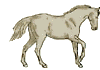 cheval032