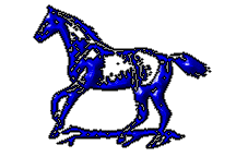 cheval048