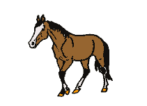 cheval051