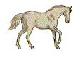 chevaux gif 014