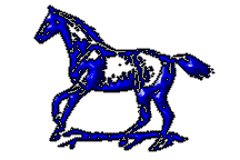 chevaux gif 016