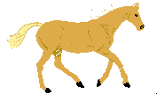 chevaux02