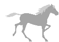 horse8