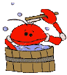 crabes007
