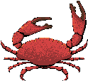 crabes013