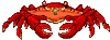 crabes014