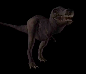 dinosaure021