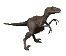 dinosaure033