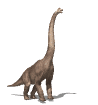 dinosaures gif 003