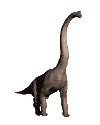 dinosaures gif 011