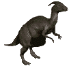 dinosaures gif 012