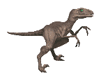 dinosaures gif 015