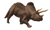 dinosaures gif 017