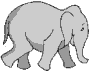 elephant gif 001