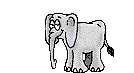 elephant gif 008