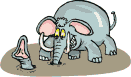 elephant gif 009