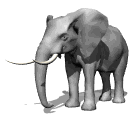 elephant gif 013
