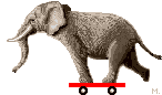 elephant006