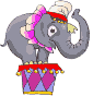elephant011