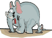 elephant014