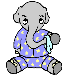 elephant019