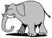 elephant023